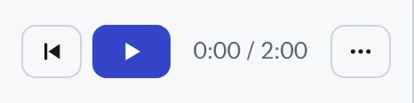 The playback controls: back to start, play, the time and the options button.