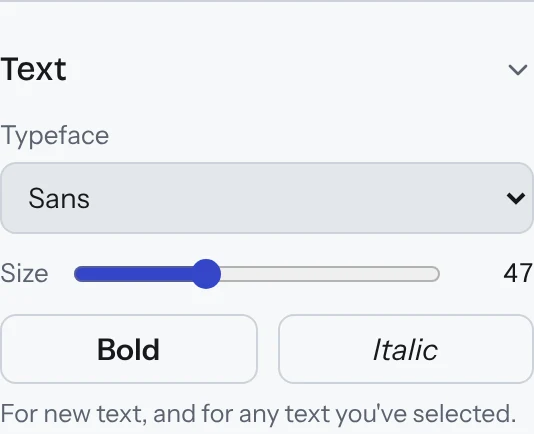 The Text section: typeface, size, bold and italic.